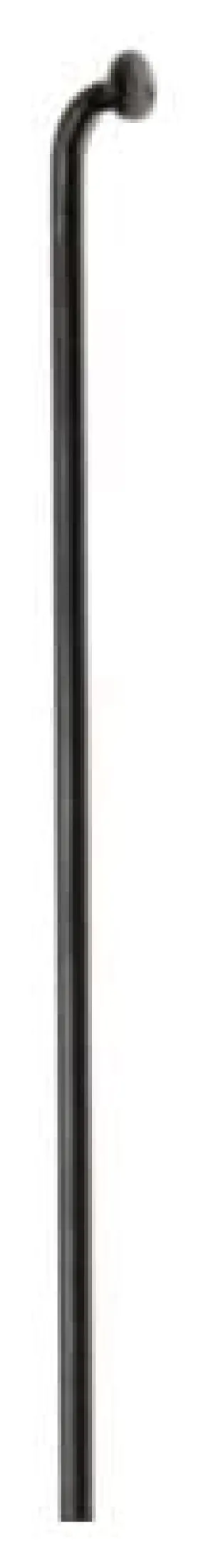 Boîte de 100 rayons DT Swiss champion 285x2