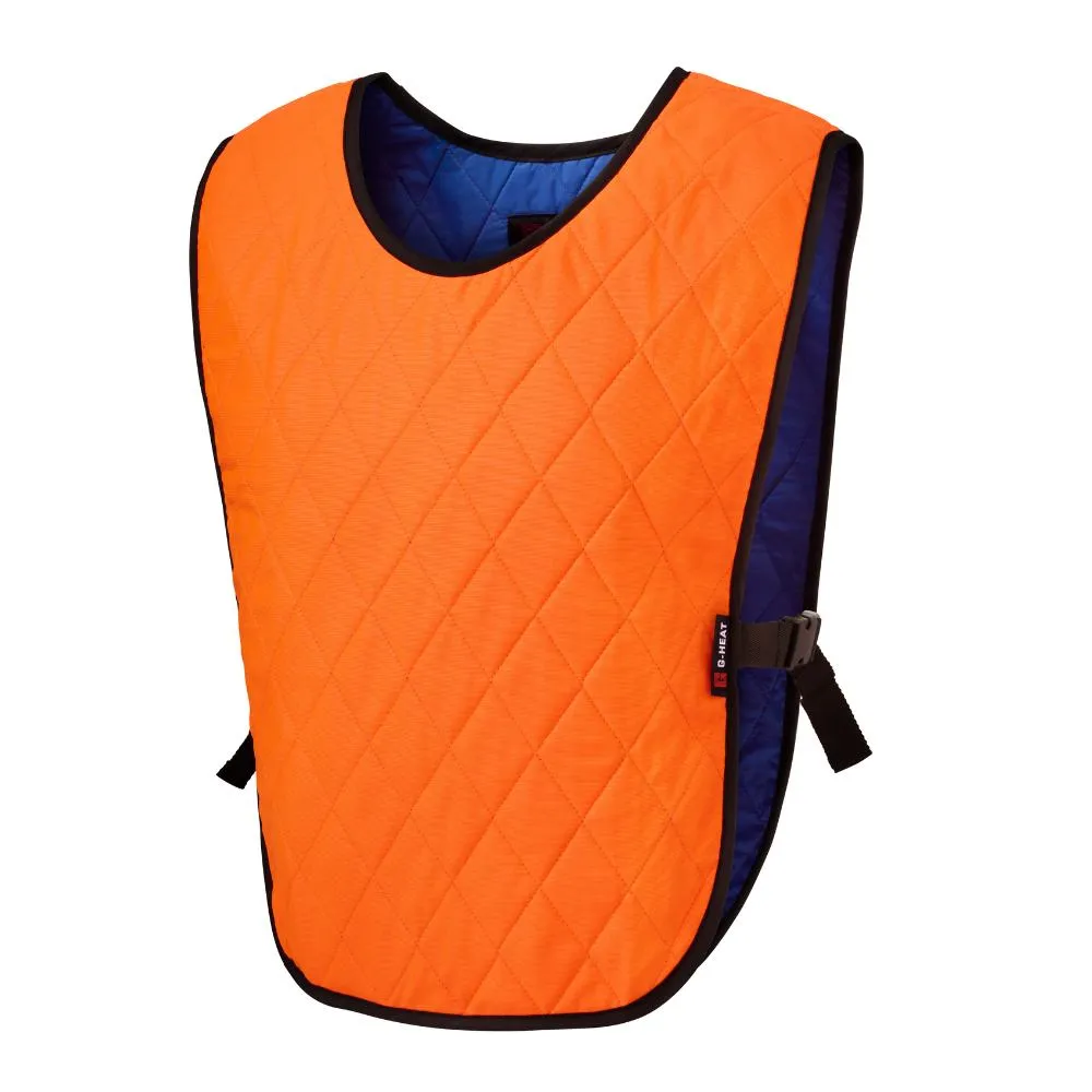 Cooling vest